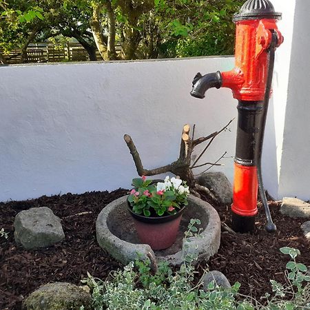 Shannon Breeze Cottage Ballycrossaun Esterno foto