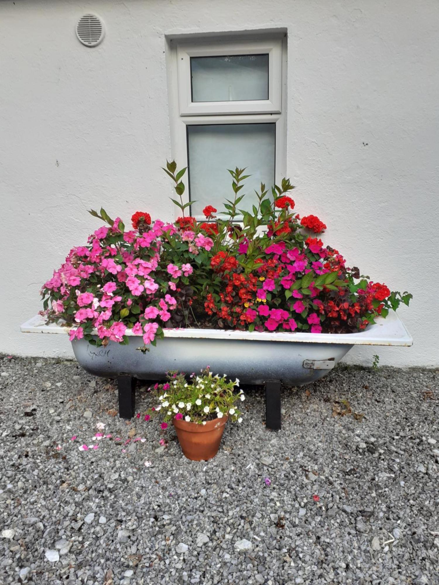Shannon Breeze Cottage Ballycrossaun Esterno foto