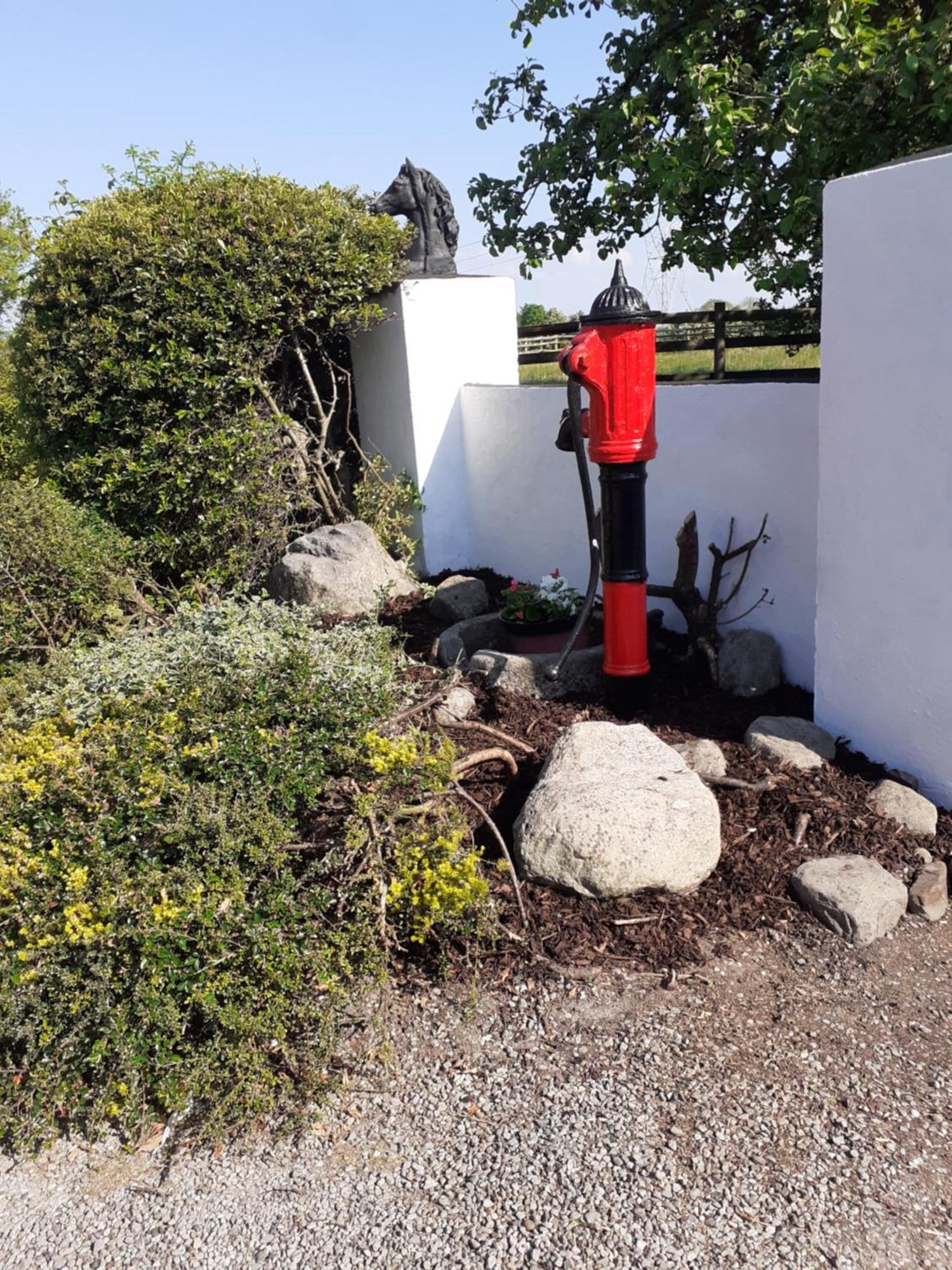 Shannon Breeze Cottage Ballycrossaun Esterno foto