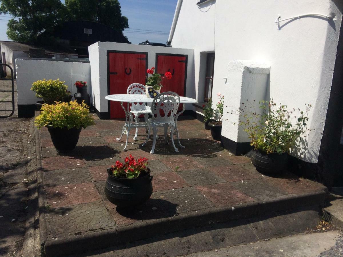 Shannon Breeze Cottage Ballycrossaun Esterno foto