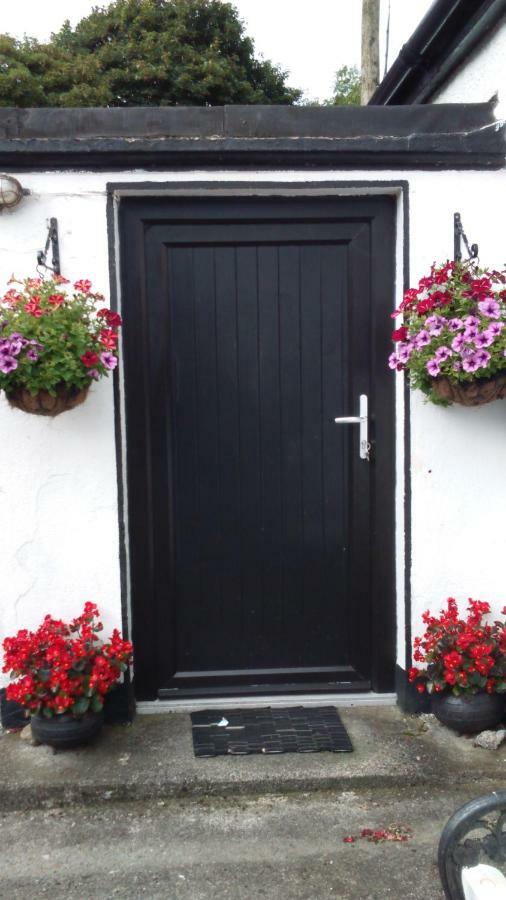 Shannon Breeze Cottage Ballycrossaun Esterno foto