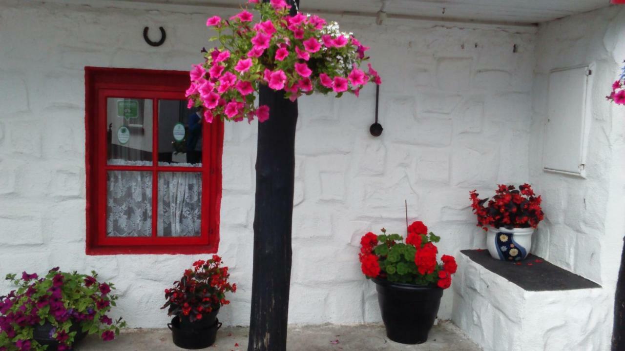 Shannon Breeze Cottage Ballycrossaun Esterno foto