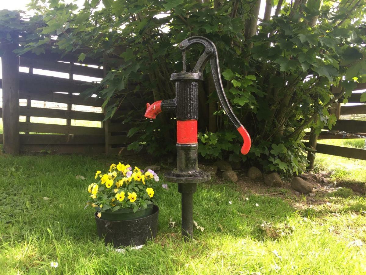 Shannon Breeze Cottage Ballycrossaun Esterno foto